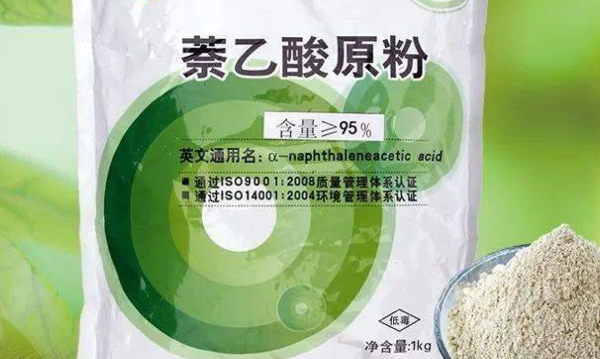 植物生长调节剂的应用知识点梳理