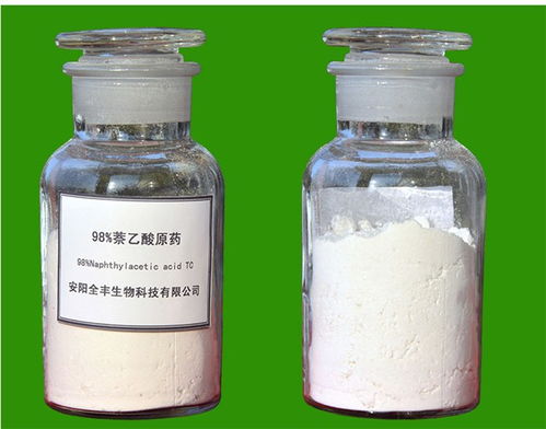 最好的生根、促花芽分化、膨大药剂，萘乙酸用法用量详解！